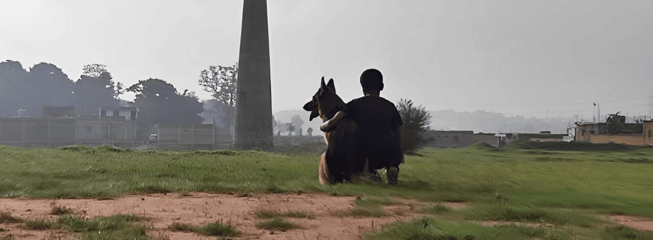 pawslove - ethical gsd breeder india