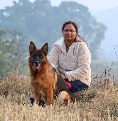 soumi deb gsd - german shepherd dog breeder india