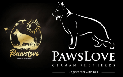 PawsLove Rebranding -Logo Change