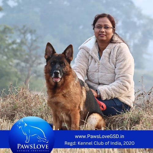 soumi deb gsd breeder india