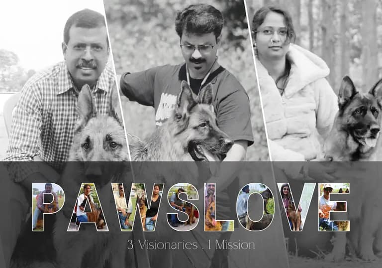 PawsLove GSD breeders team india